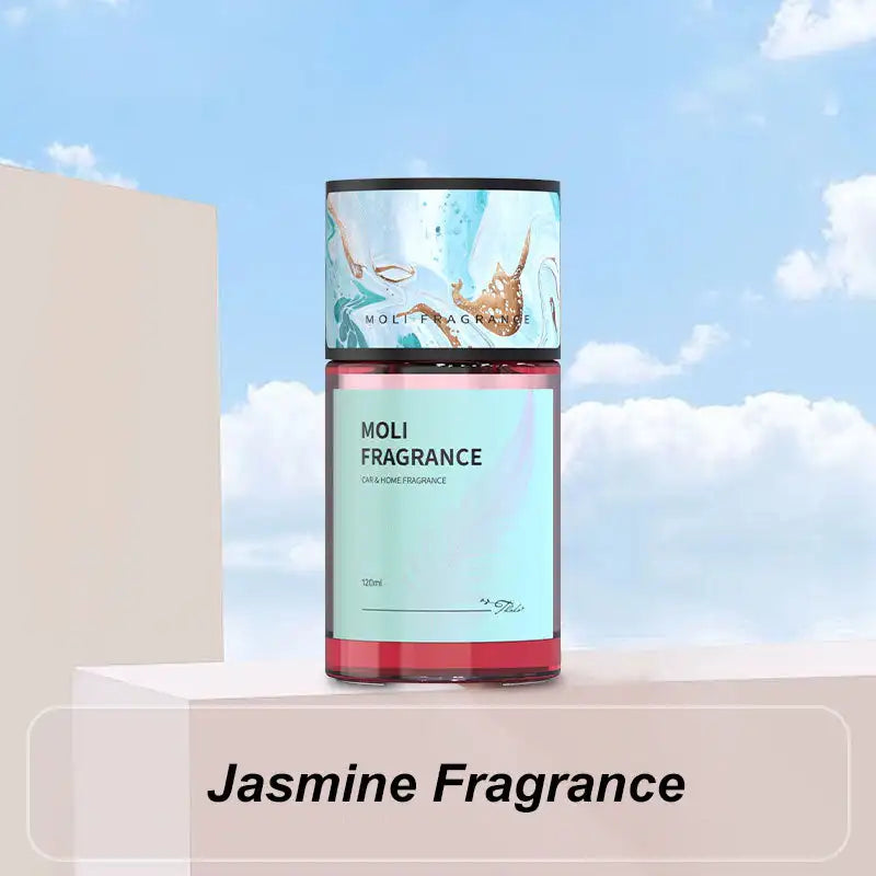 Car Fragrance Scent Diffusers Ornament